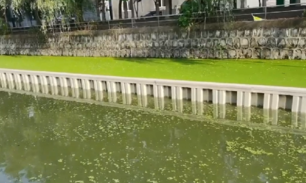 cc349ad1620f77e03392ba814ec995b